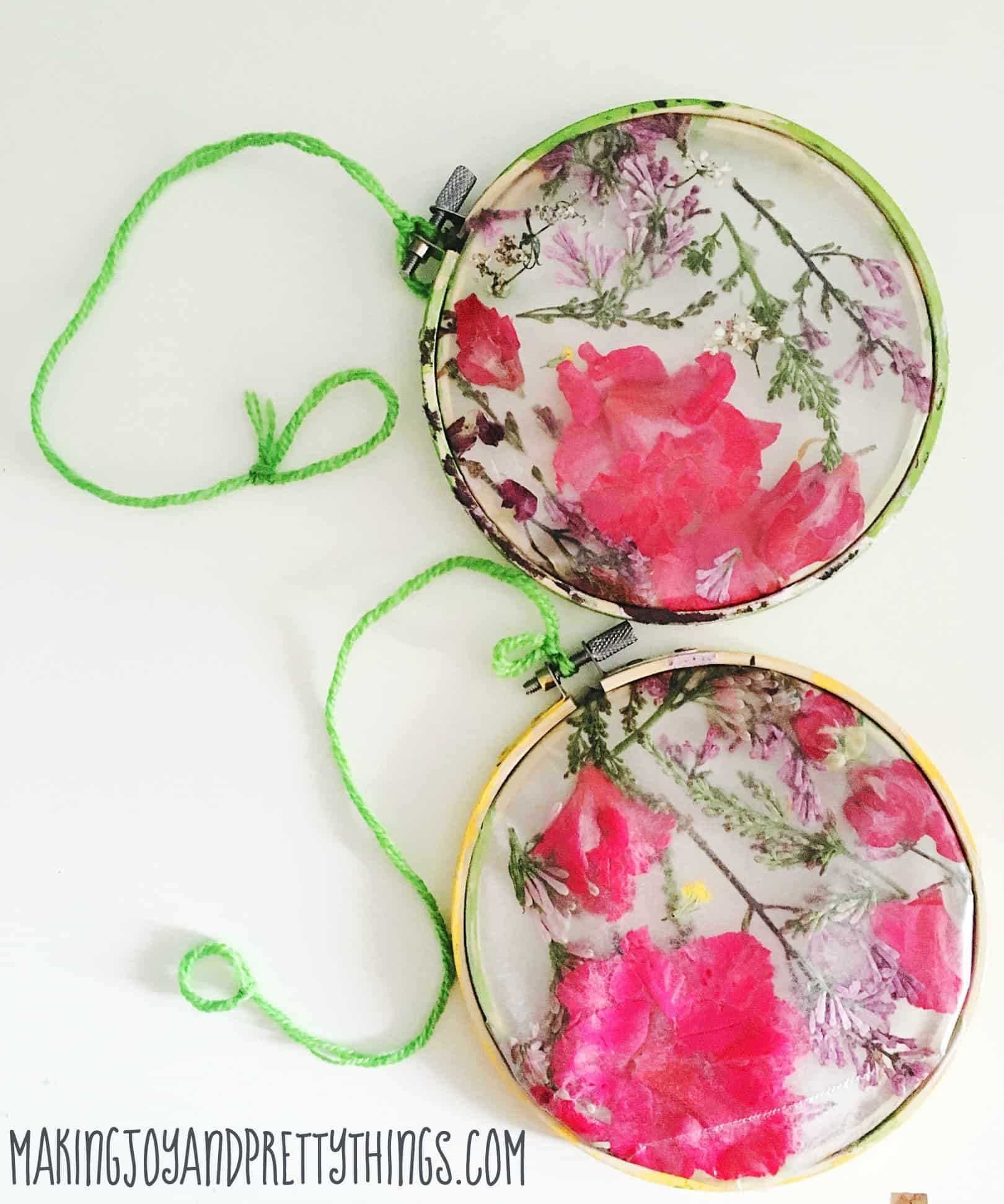 A pair of pressed flower suncatchers, made with pink and purple flower petals pressed in craft contact paper and held in place with small wooden embroidery hoops that have been painted green and yellow. Strings of green yarn hang from the top of each suncatcher.