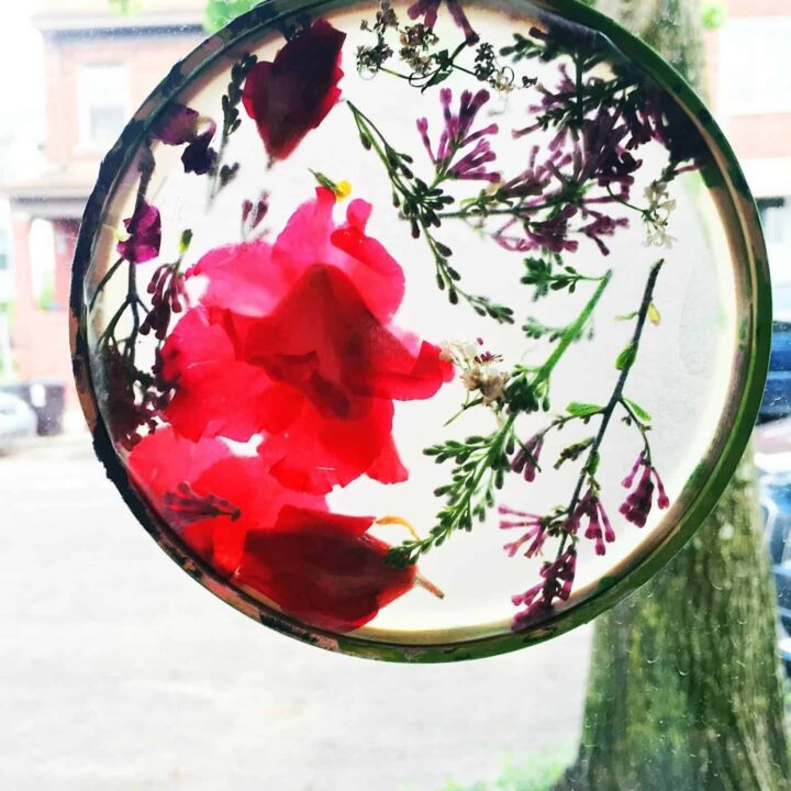 Dried Pressed Flowers Suncatcher Craft - In The Playroom