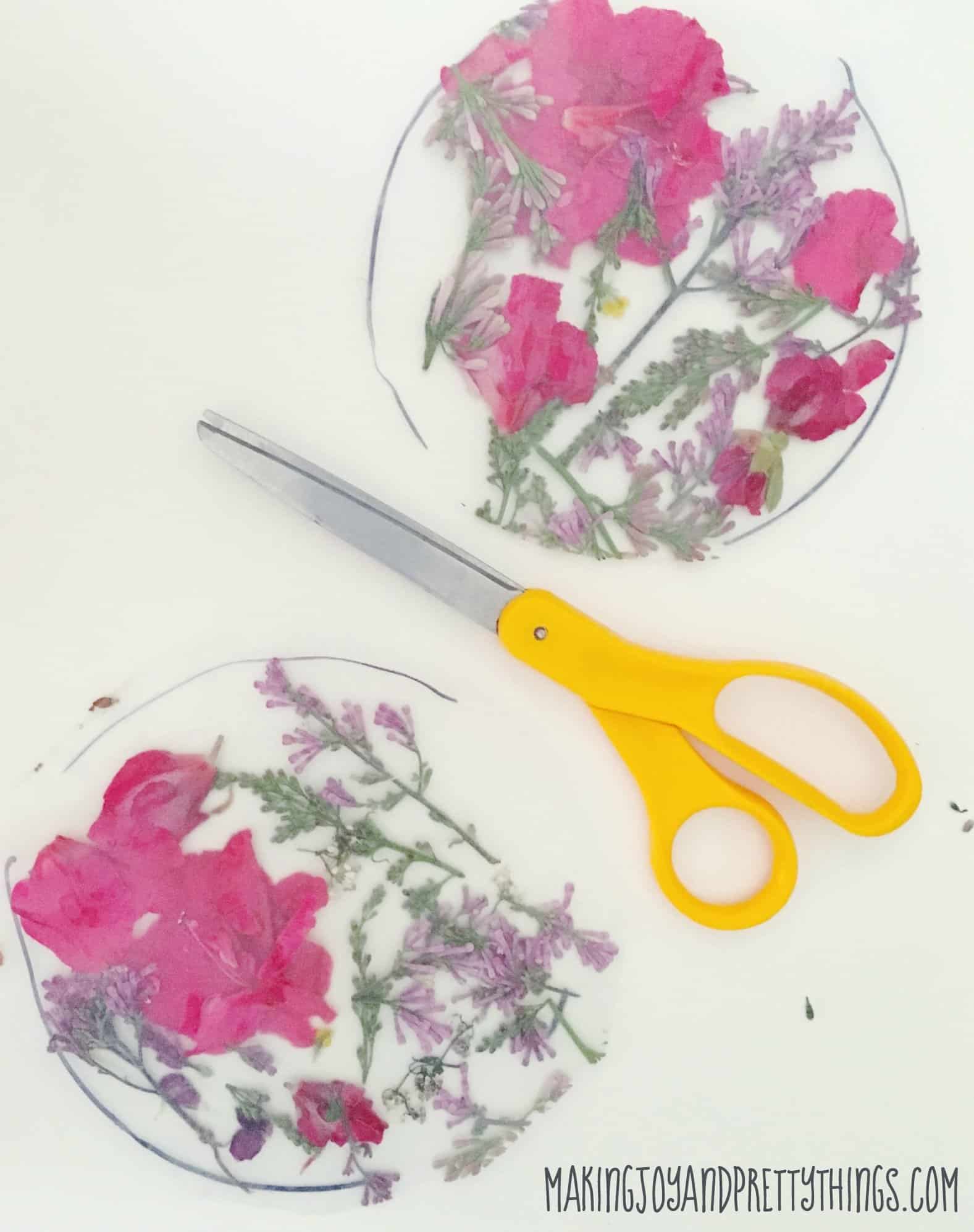Pink and purple flower petals are sealed between sheets of contact paper, Yellow-handed scissors sit between the two circles of flowers.