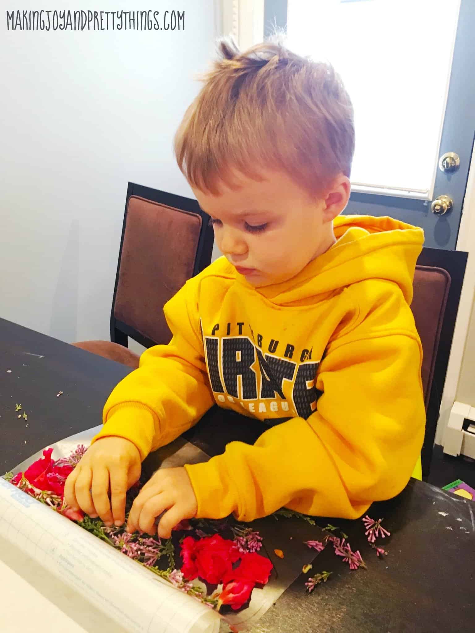 A little boy wearing a yellow hoodie concentrates on placing pink and purple flower petals onto a sheet of contact paper to make pressed flower suncatchers.