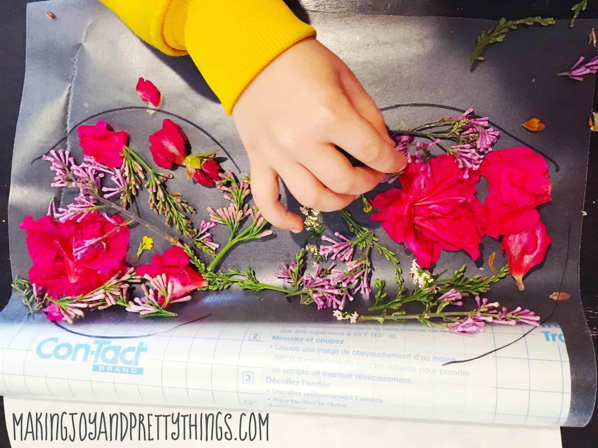 A little boy places colorful pink and purple flower petals into a round circle drawn onto transparent contact paper. These flowers will be used to make pressed flower suncatchers.