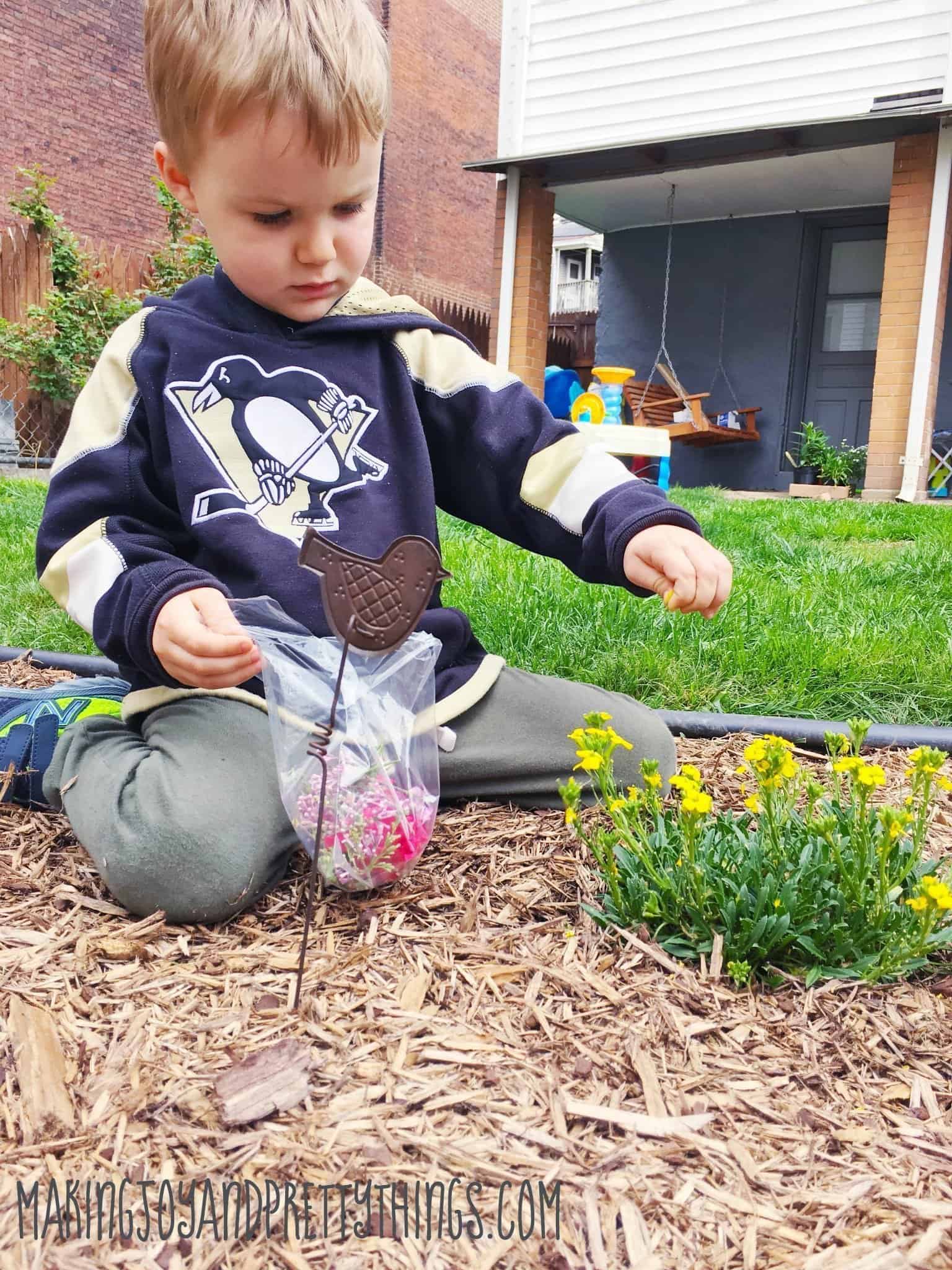 A little boy sits outside on a bed of mulch and picks yellow petals from a plant. He's holding a small plastic bag with pink and purple flower petals, which will be used to make a pressed flower suncatcher craft.