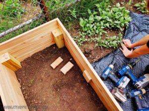 DIY Beginner Raised Garden Bed perfect for small yards and beginner gardeners. Easy DIY that can be done in an afternoon.