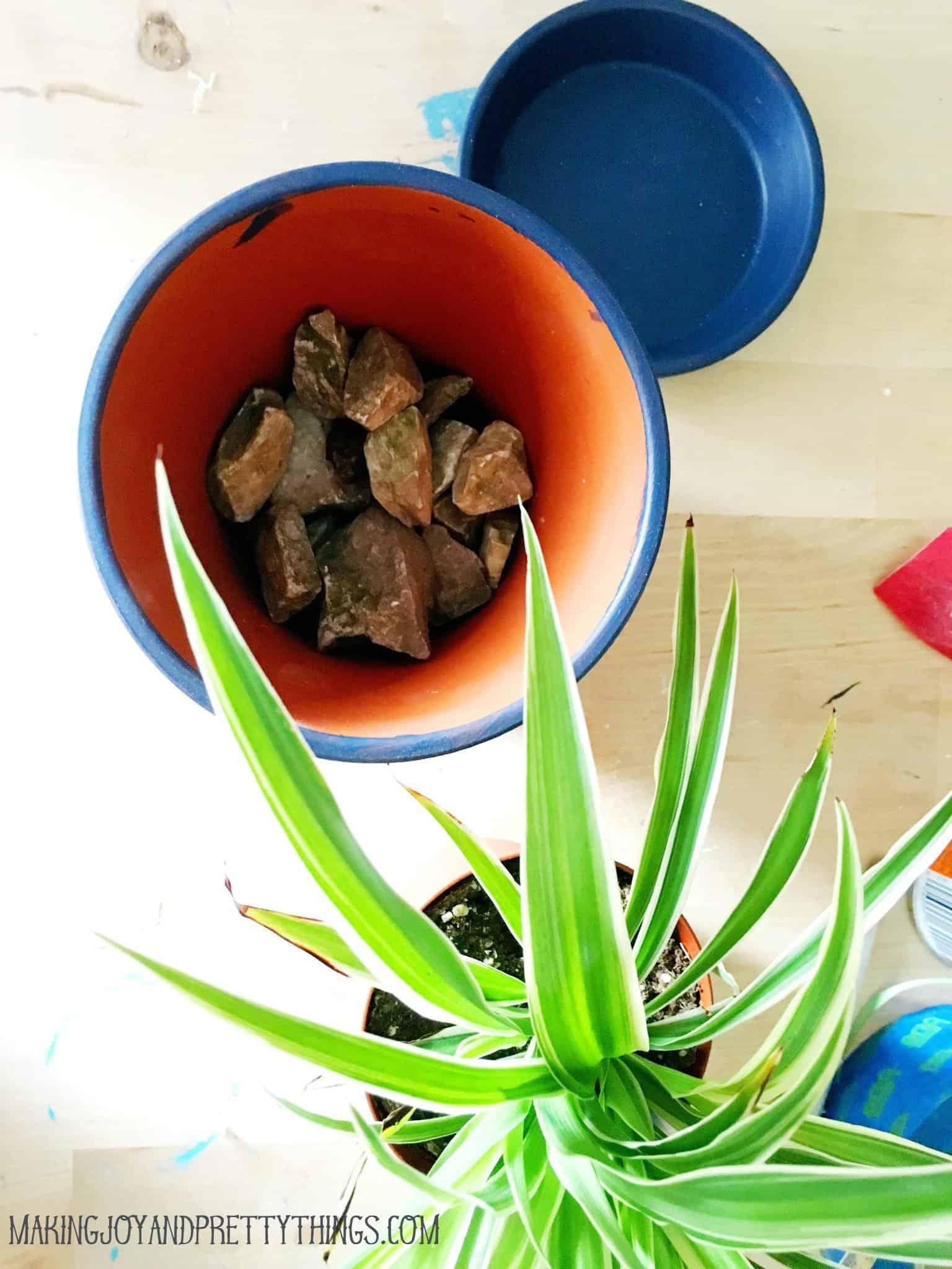 An overhead view of a painted terra cotta pot. Rocks sit in the bottom of a pot, and a green palm plant. The rim and saucer of the pot is painted a deep navy blue.