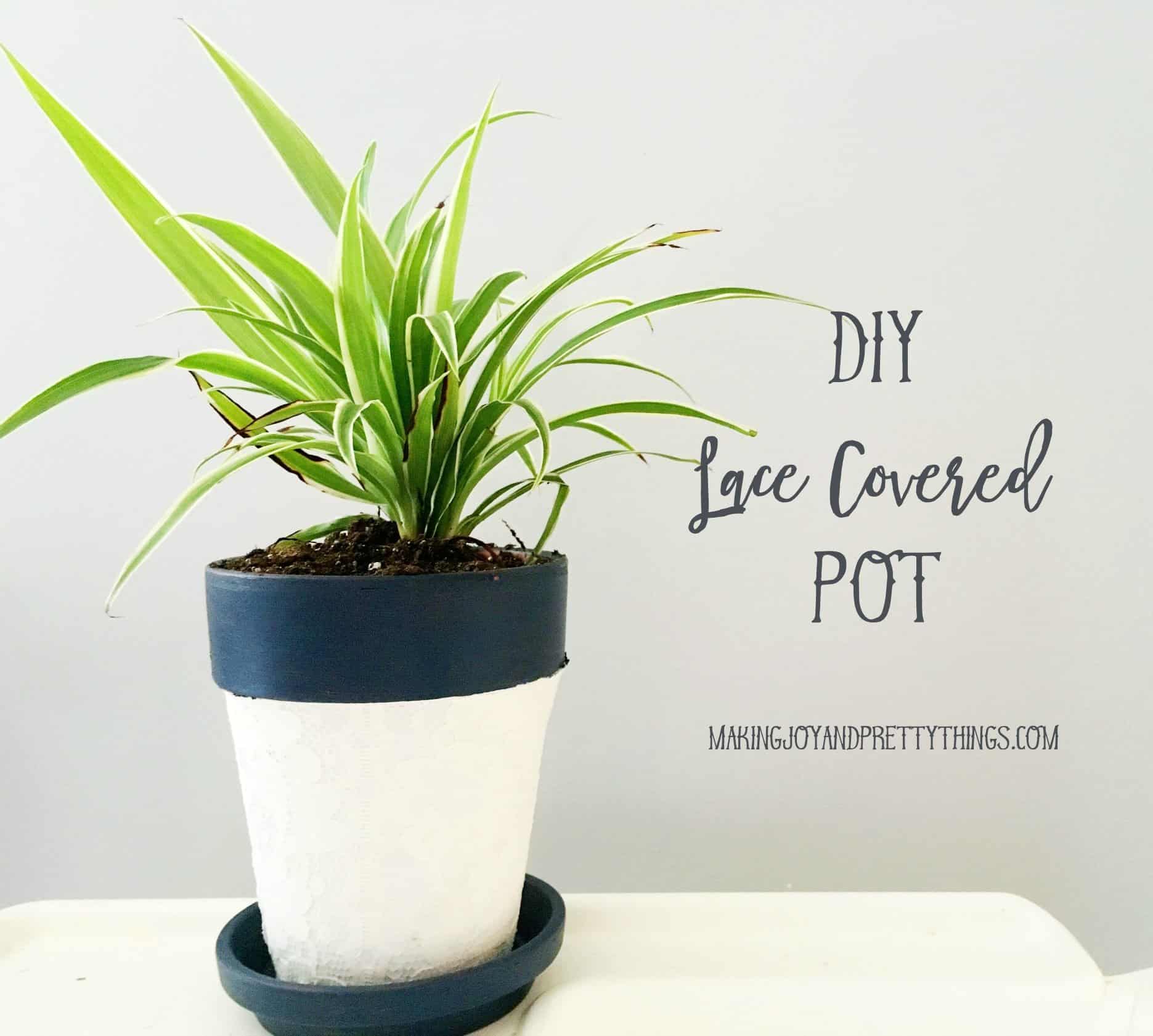 A spikey draecana variety house plant features lime green leaves with a white border. The plant sits in a white clay pot with a painted navy-blue rim. Image text overlay reads 