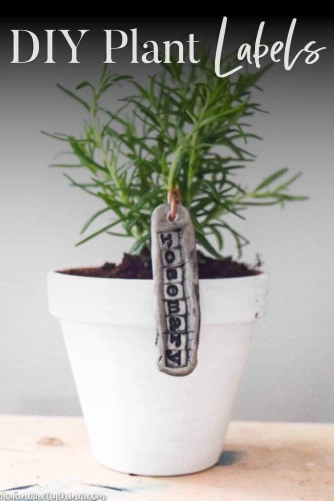 Photo of a potted plant with text overlay that reads 'DIY Plant Labels.'
