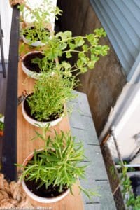 You HAVE to check out this amazing DIY hanging herb garden!! Perfect DIY herb garden for a small outdoor space. Hangs on a railing like a window box!