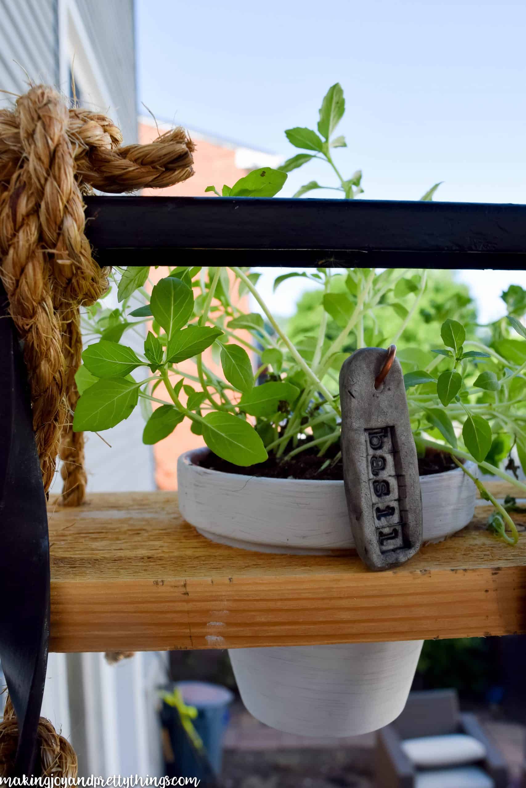 Close up picture of a basil plant with markers and hung up with a rope on a balcony