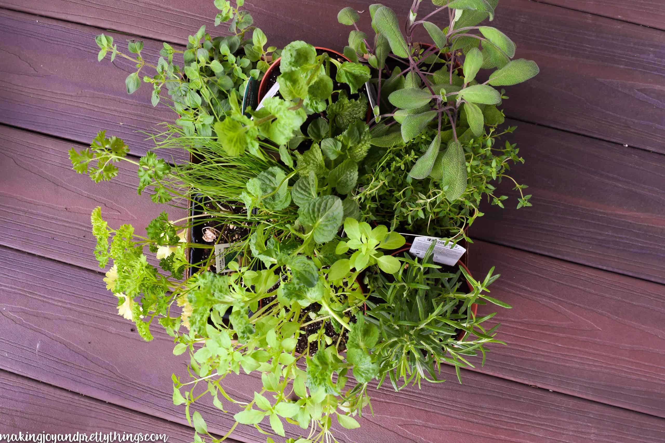 when making an herb garden to hang on your balcony don't forget to get an assortment of herbs to put in your pots 