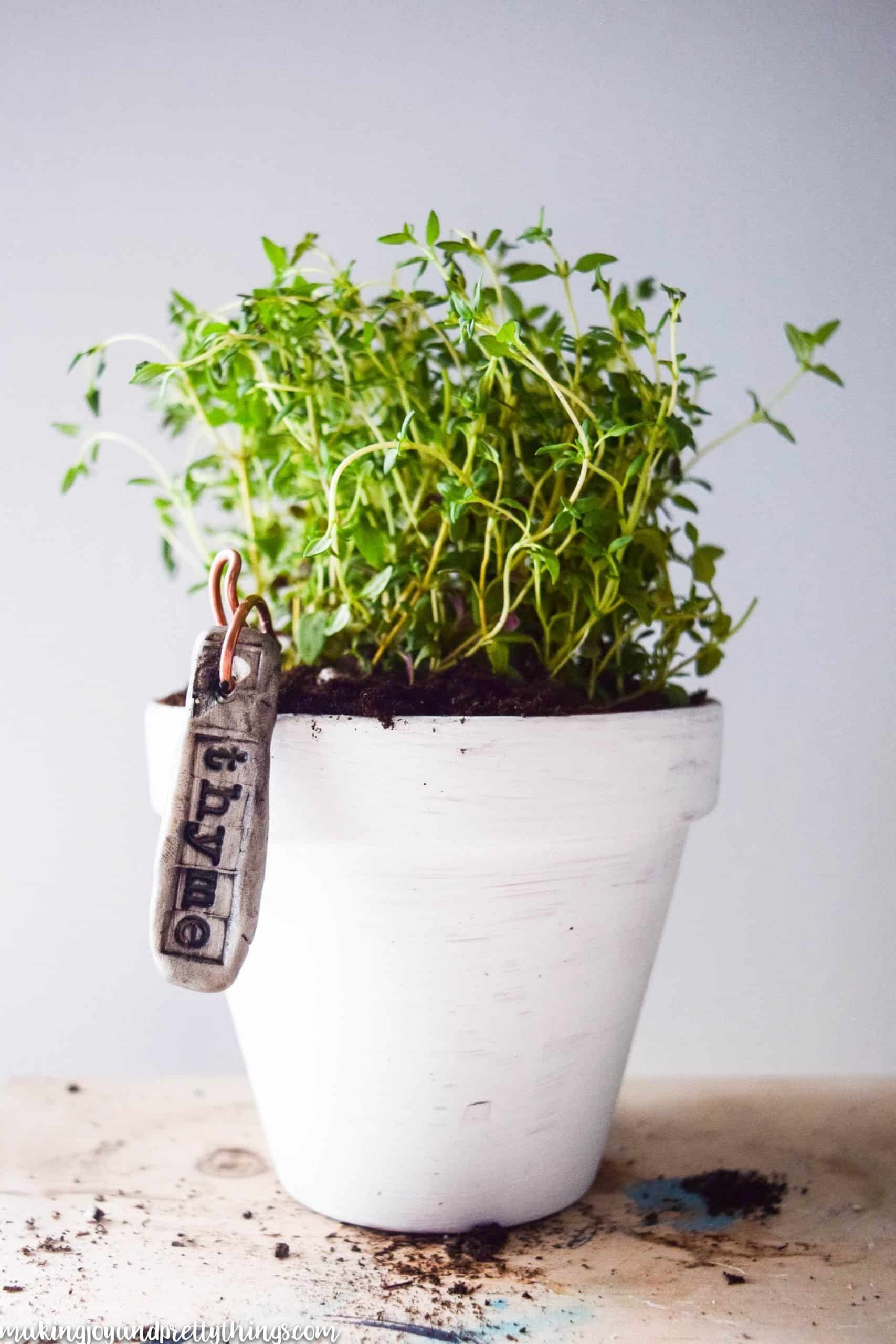 Thyme plant in a pot that has been distressed with paint and with a DIY plant label made with clay and paint