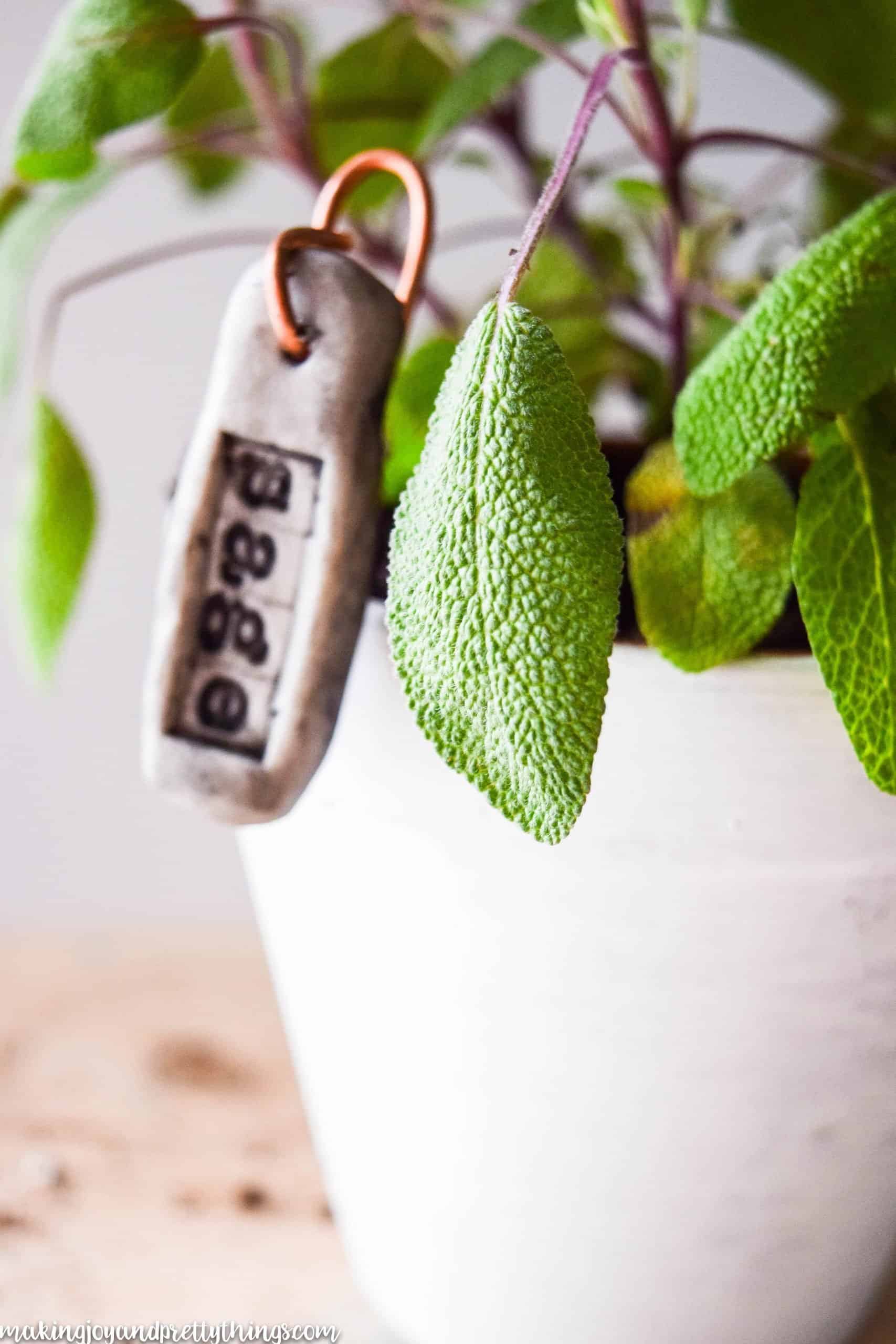 The options for these DIY plant labels are as endless as the plants you can put into pots and your garden