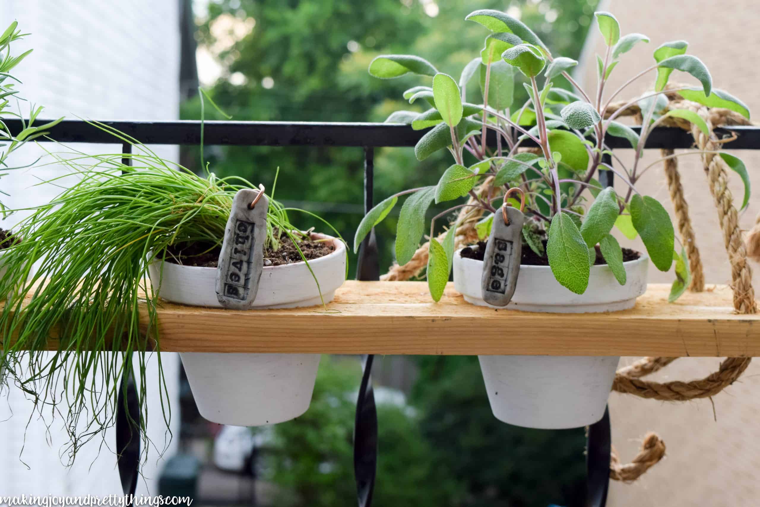 A hanging herb garden on your balcony is easy and simple to do with this easy tutorial 