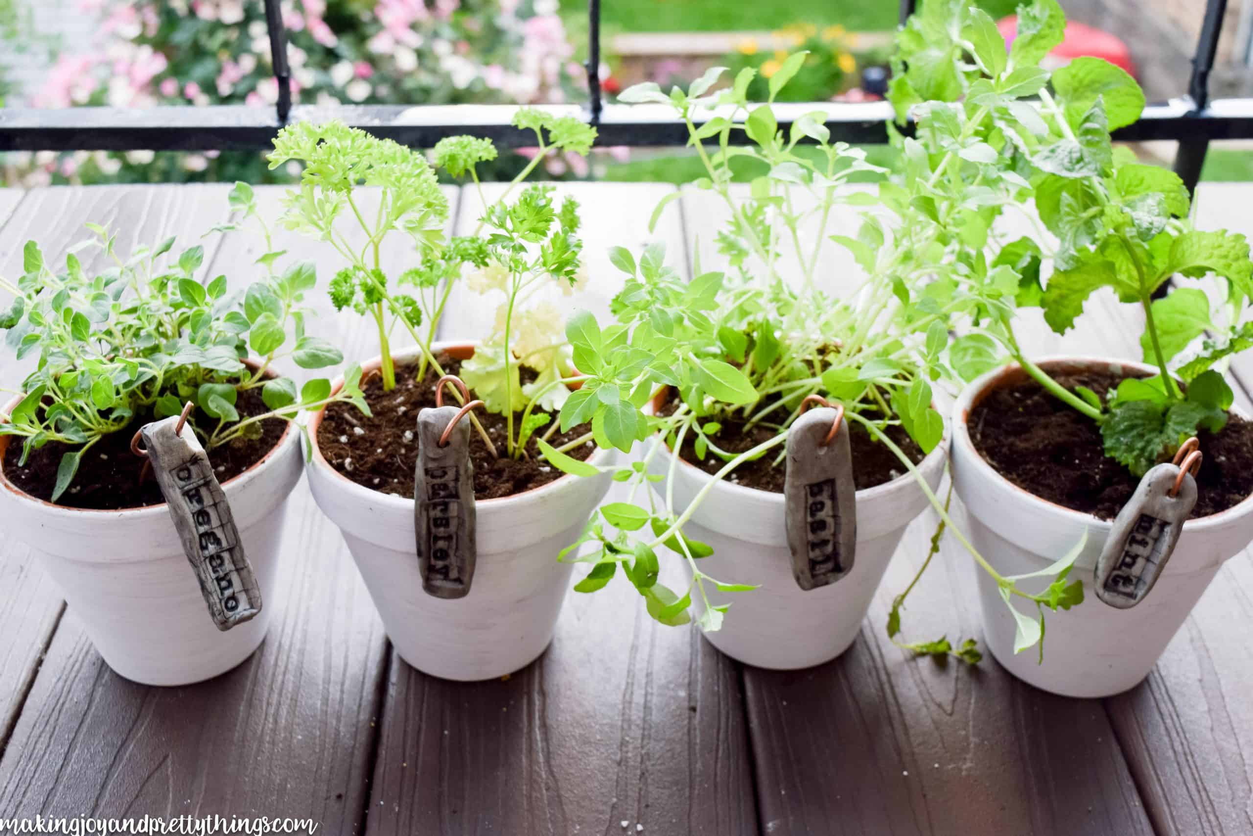 Using DIY garden markers to label the plants for a hanging herb garden in white clay pots