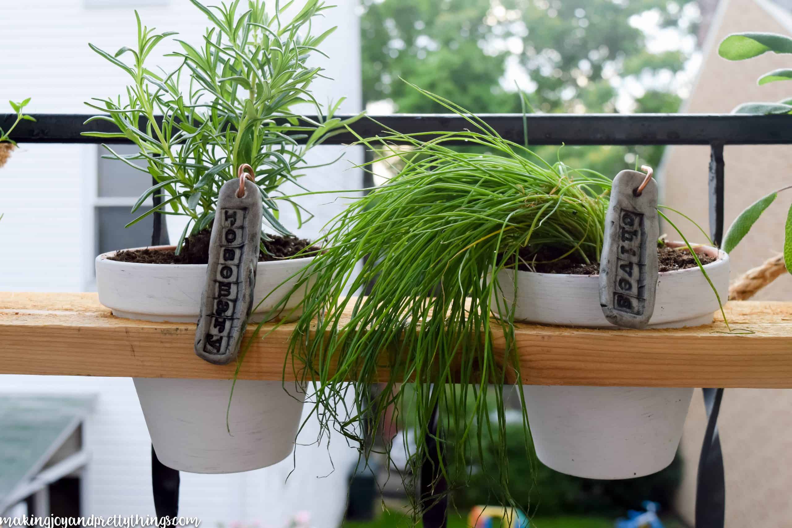 You HAVE to check out this amazing DIY hanging herb garden!! Perfect DIY herb garden for a small outdoor space. Hangs on a railing like a window box!