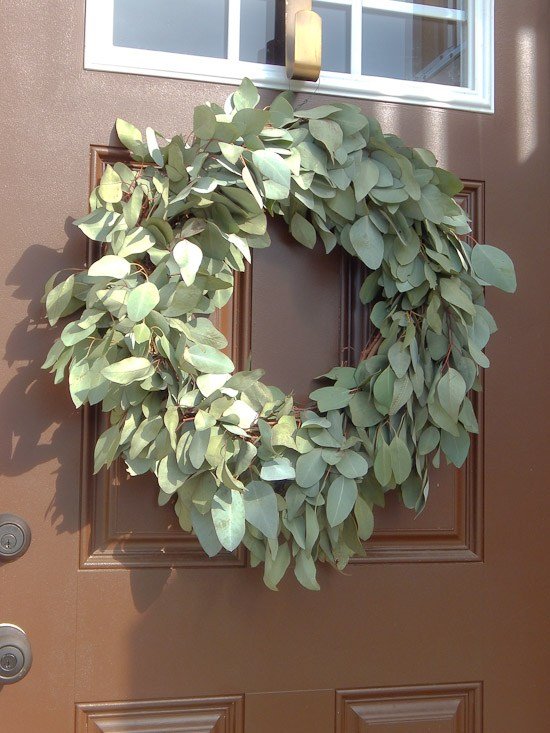 Wreath made with fresh eucalyptus stems from Trader Joe's hanging on a brown front door 