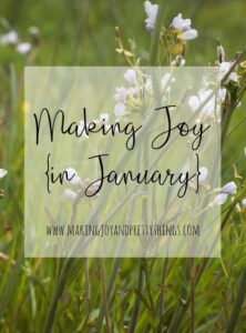 Making joy in January. Living a joyful life in this stage of motherhood. Advice and support for other moms.