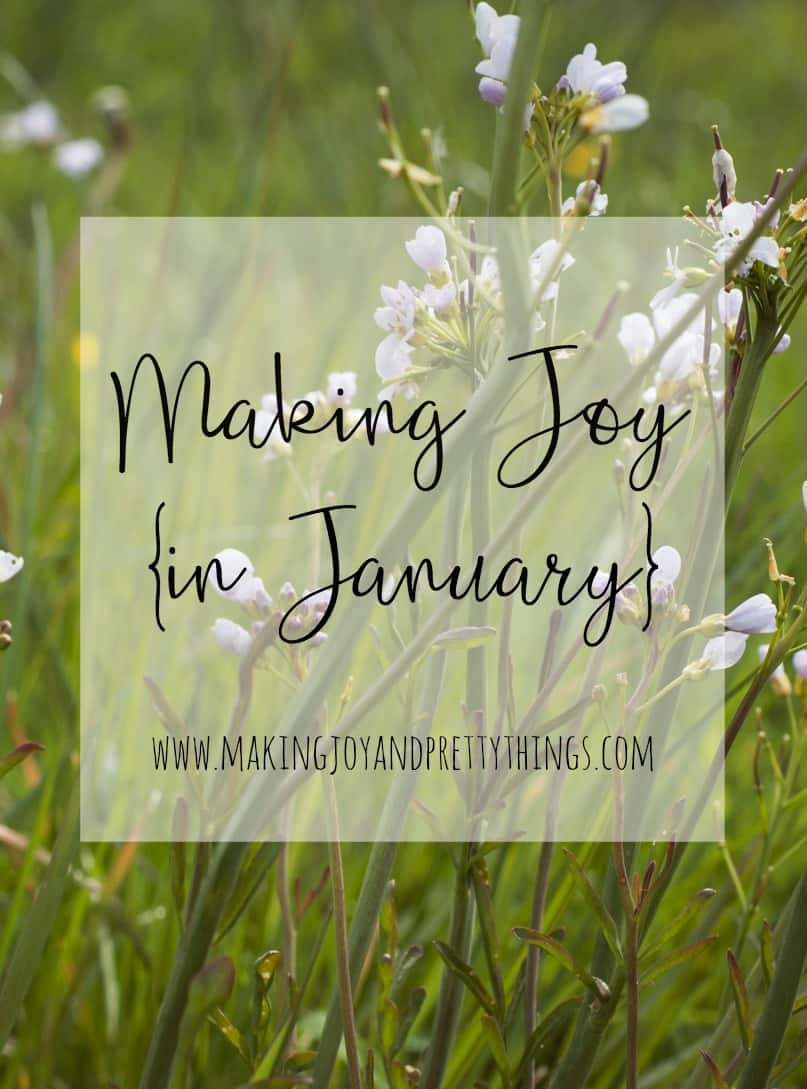 Making joy in January. Living a joyful life in this stage of motherhood. Advice and support for other moms.