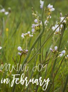 making joy in february | joyful living | motherhood | family