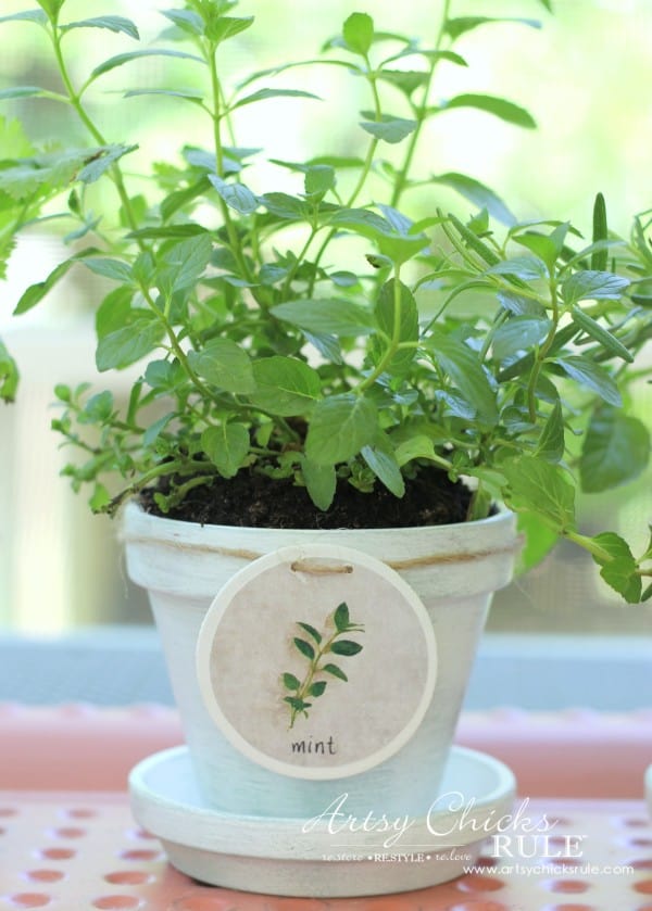 diy planters | diy planter ideas | diy plant pots | planter ideas | planters DIY | farmhouse plant pots | farmhouse planters