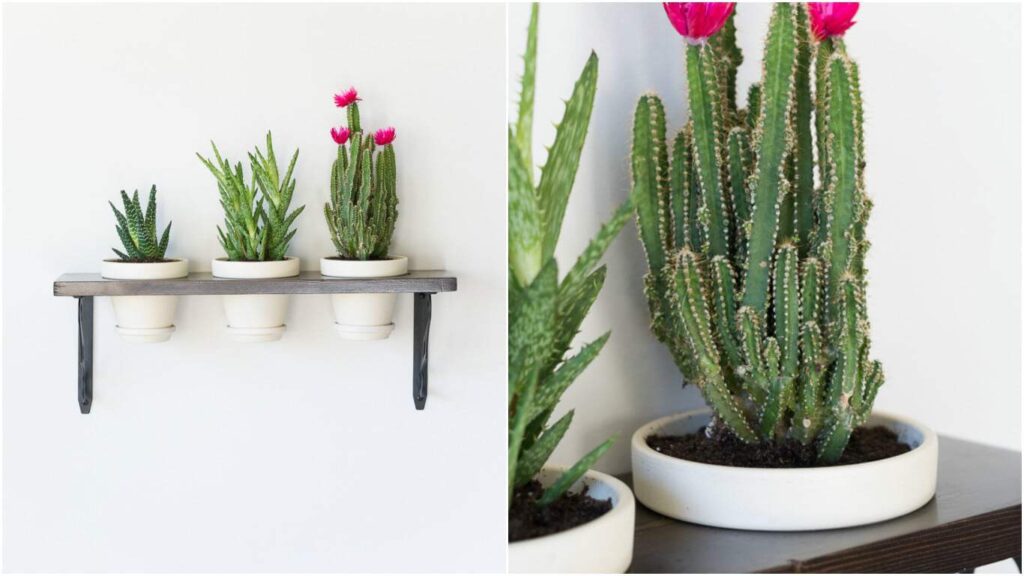 diy planters | diy planter ideas | diy plant pots | planter ideas | planters DIY | farmhouse plant pots | farmhouse planters