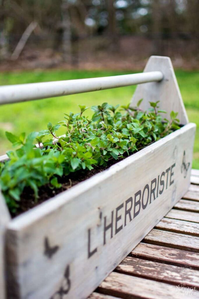 diy planters | diy planter ideas | diy plant pots | planter ideas | planters DIY | farmhouse plant pots | farmhouse planters