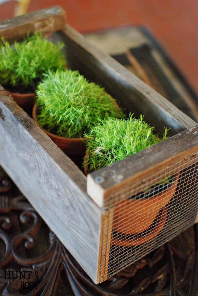 29 Creative DIY Planters To Try