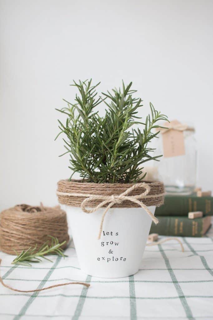 diy planters | diy planter ideas | diy plant pots | planter ideas | planters DIY | farmhouse plant pots | farmhouse planters