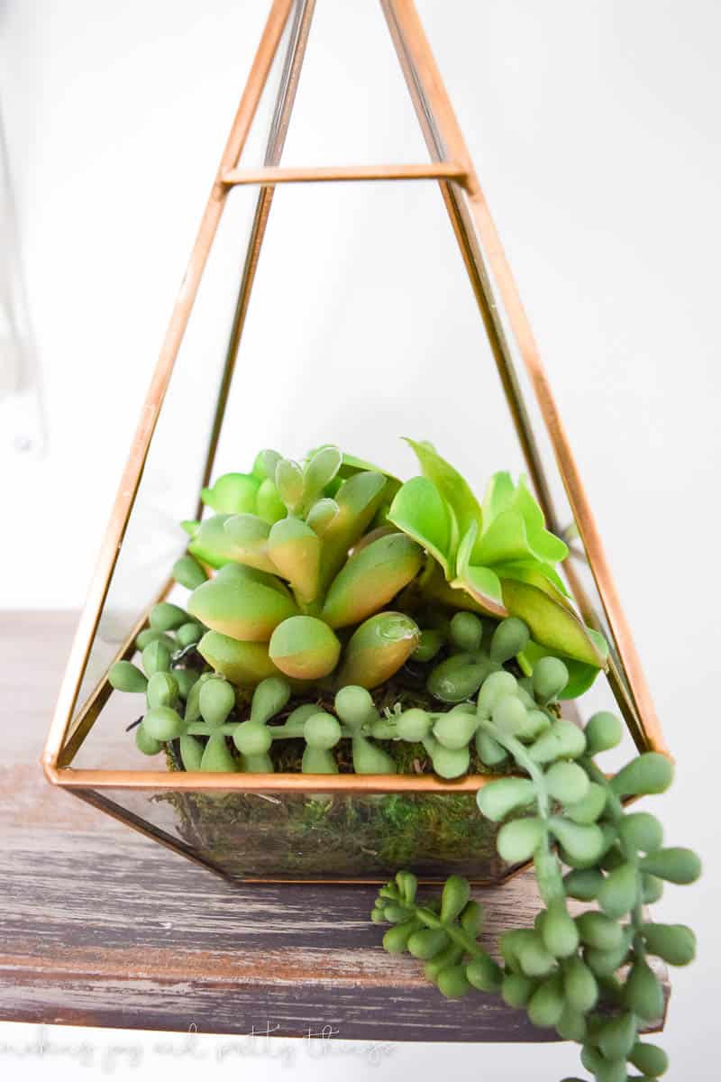 Faux succulents from micheals are a great way to ad floral notes to decor that are fake and stay alive
