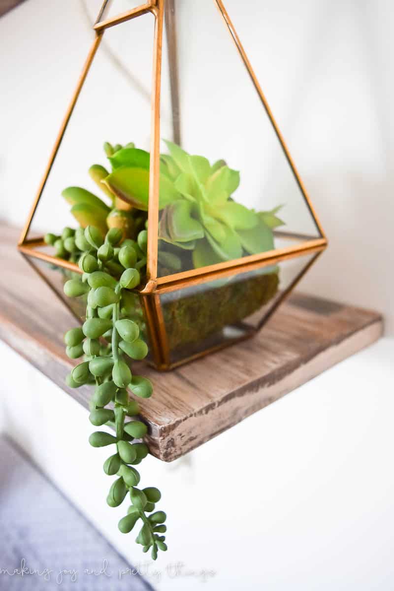 Close up of terrarium with fake plants that could easily be hung up or placed on a shelf in multiple arrangments