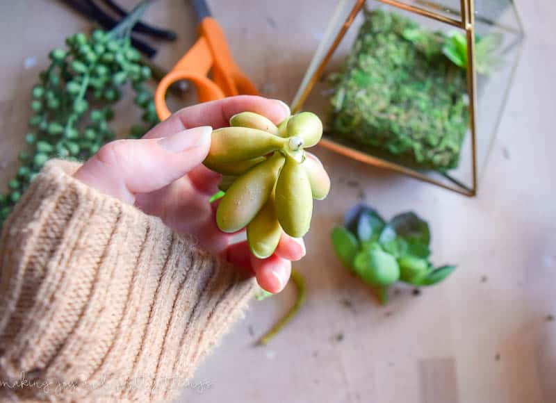 Faux succulents and fake plants make a great terrarium project that you can hang up or place on a shelf