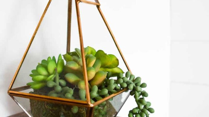 Hot Glue Echeveria + String of Pearls Faux Succulents DIY!