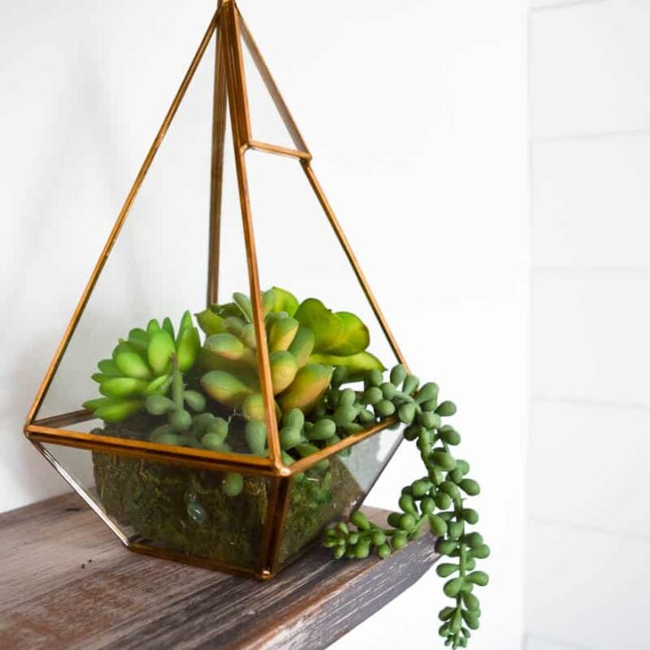 bolia botanique plant pot 11in Bolle Pot With Saucer main image 1