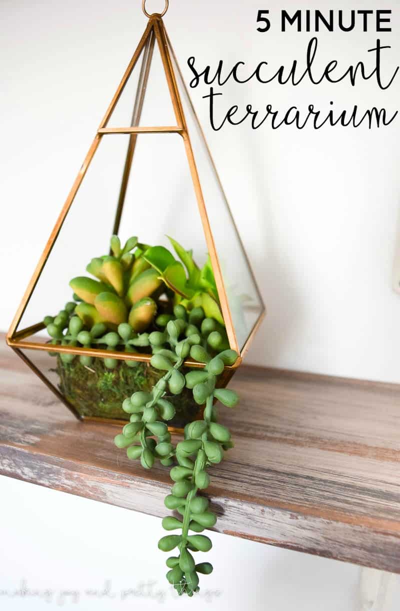 A fake terrarium using faux succulents from micheals is an easy quick way to make decor that cannot die and looks great on a shelf