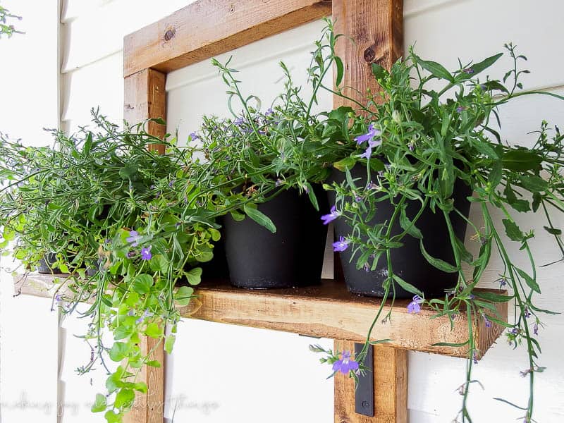 Shelf for potted herbs outside 