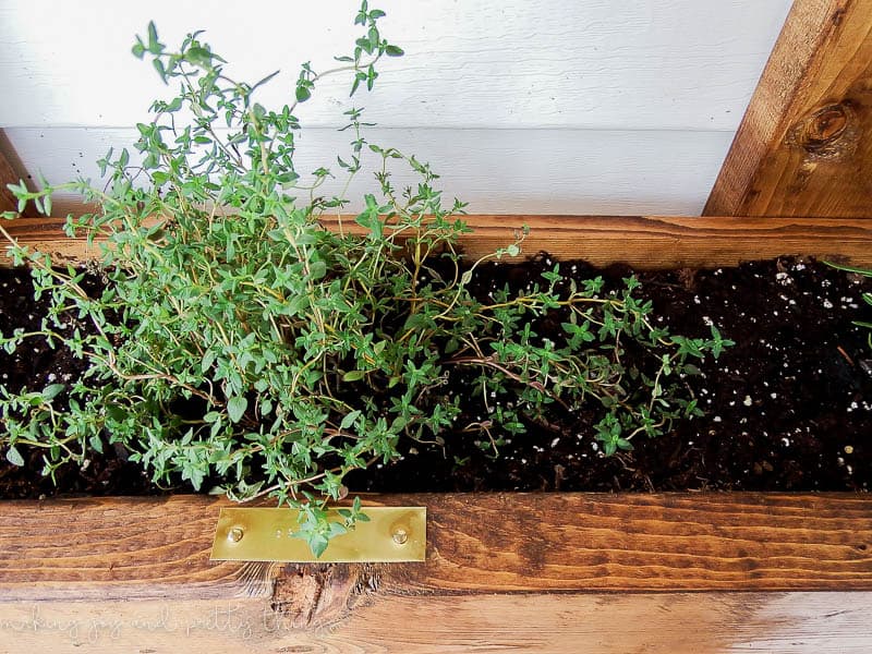 Labeling your plants in the DIY 2x4 planter box helps you keep track of what you have planted and how well its doing