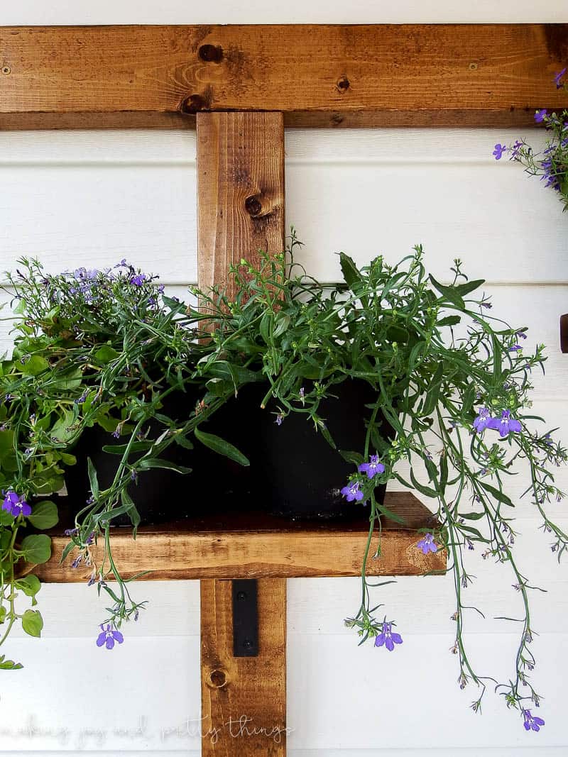 Planting herbs in pots on shelves is a great way to ad some decor outside on a garden rack