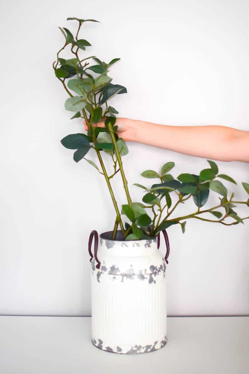 Offsetting greenery in a Vintage milk can for the farmhouse flower arrangement