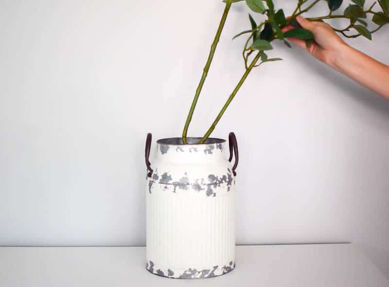 Putting in the base Greenery for the decor using a vintage milk can for decorating