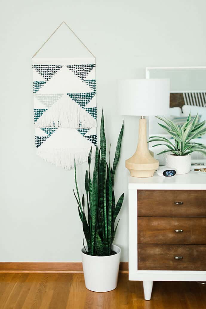 snake plant near dresser in bedroom