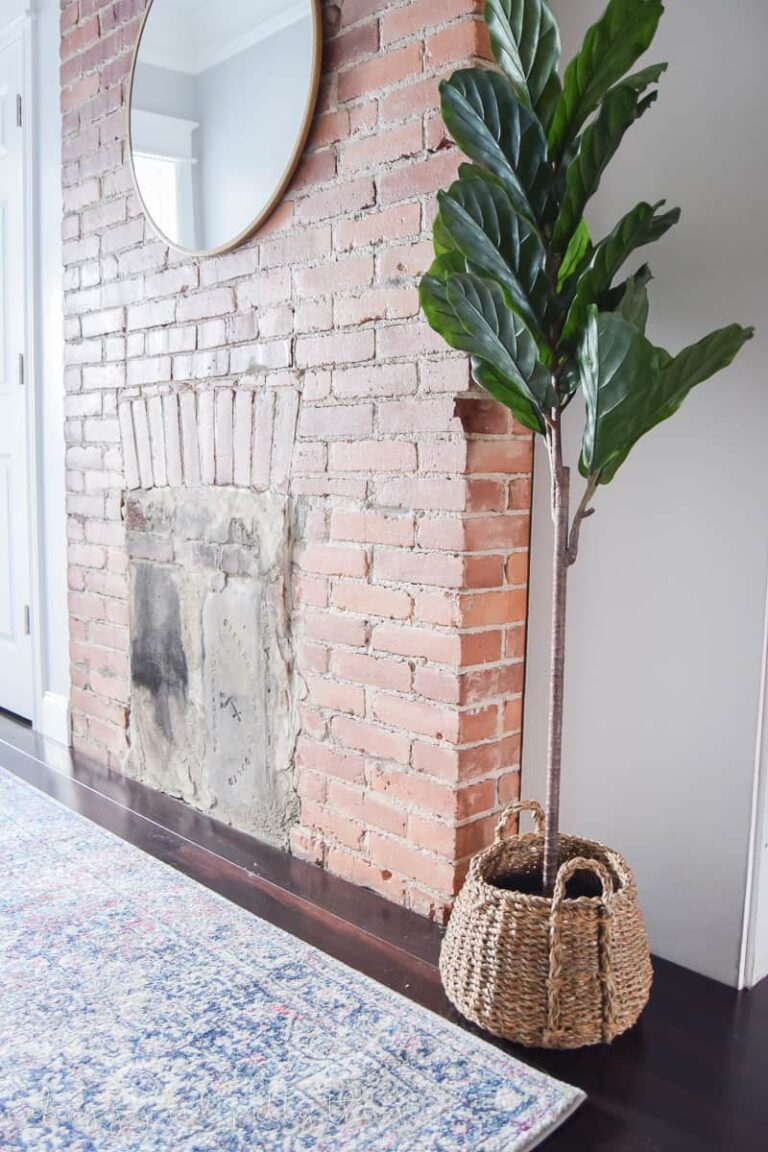 Learn How to Decorate with Fake Plants