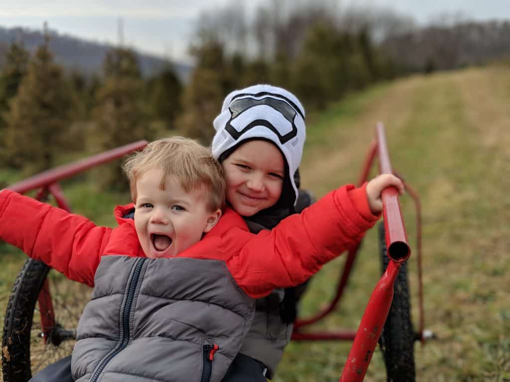 Two boys having a fun time picking out a Christmas tree at Grupps Tree Farm