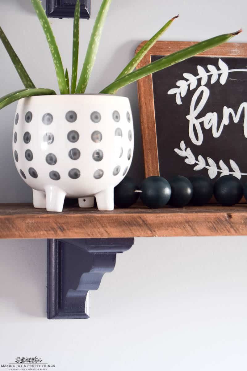 White vase with black polka dots on a rustic shelf with a green aloe plant used as decor accent