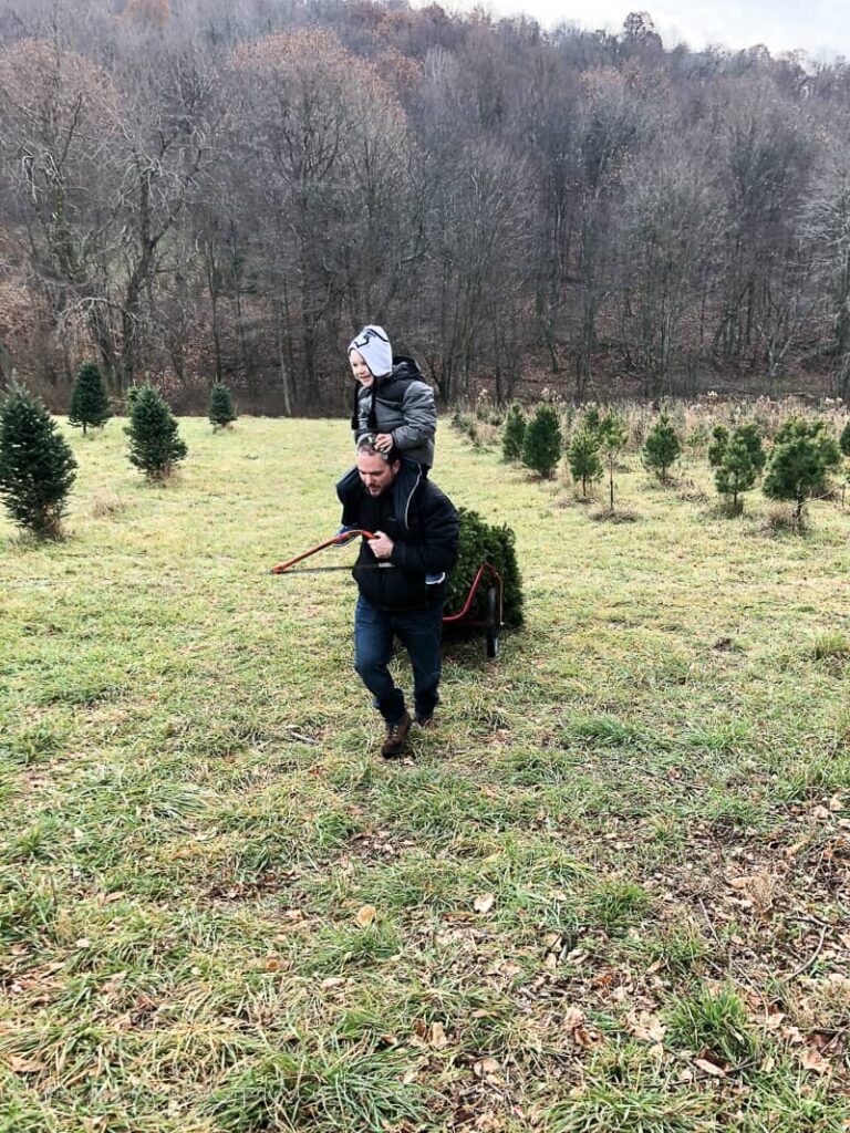 A family hiking back to a car with a Christmas tree in tow ready to decorate at the house