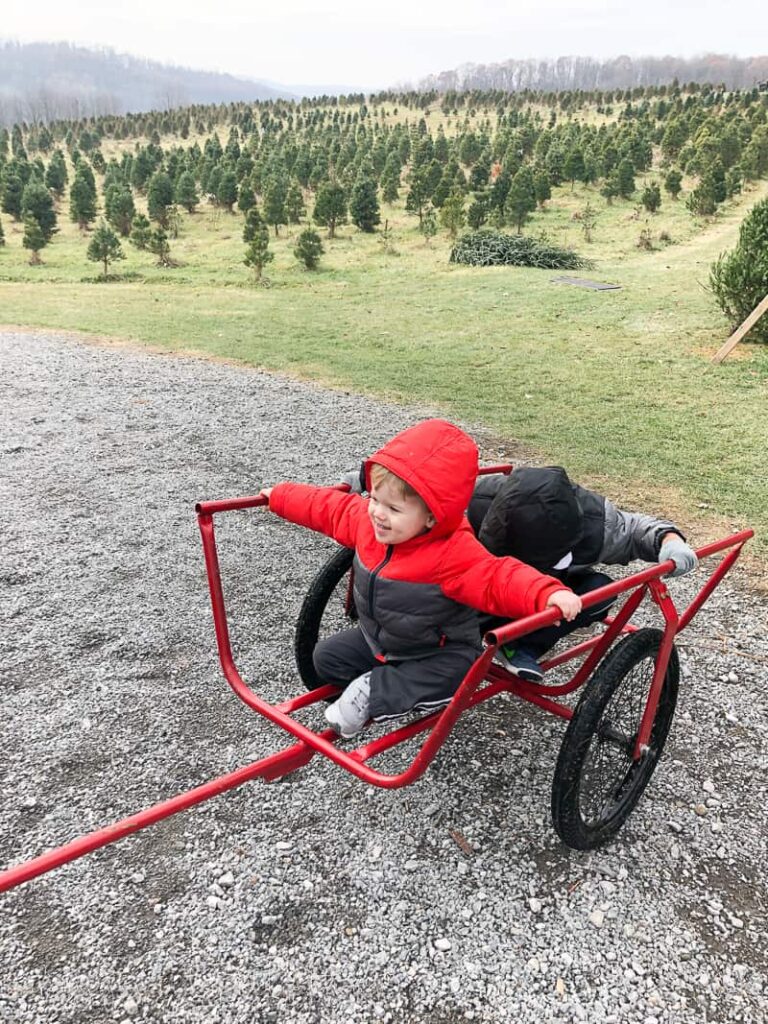 Beautiful landscape view of Grupps tree farm and two boys about to go and pick out a Christmas Tree