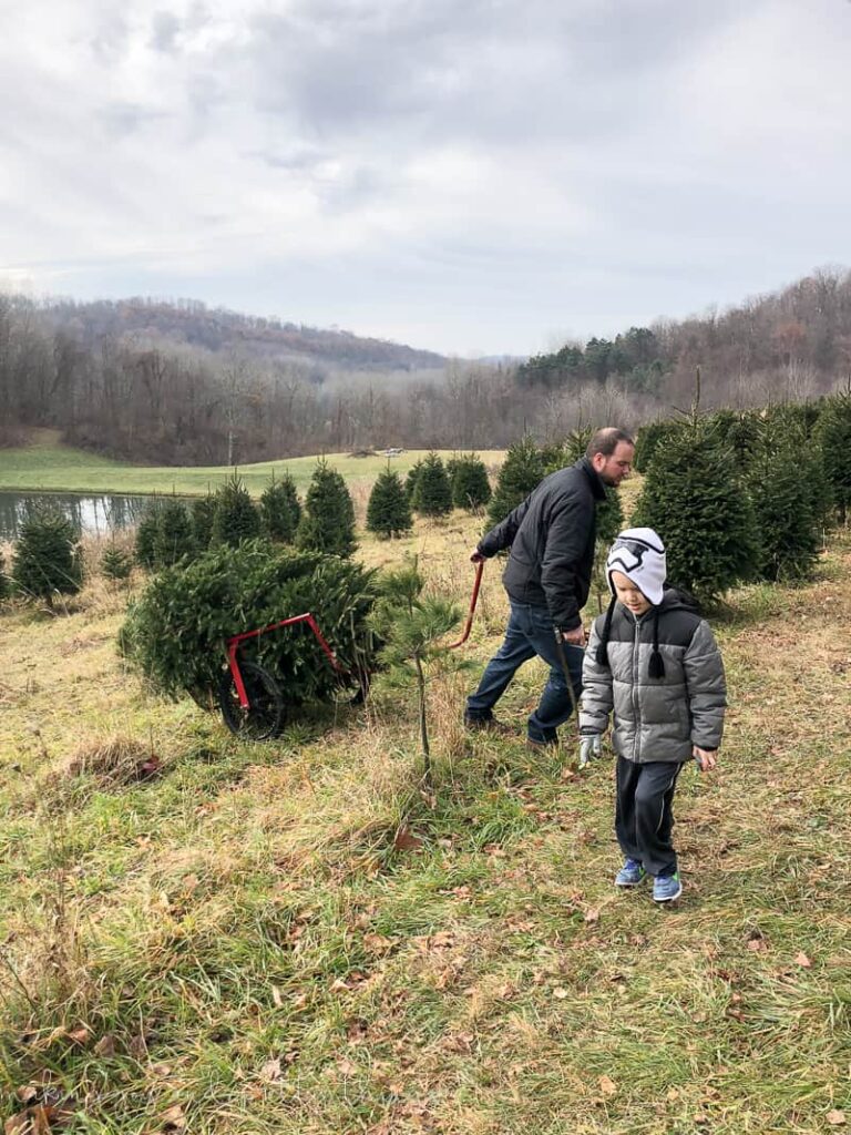 Taking the time to cut down a Christmas Tree at a farm is a great way to spend time as a family