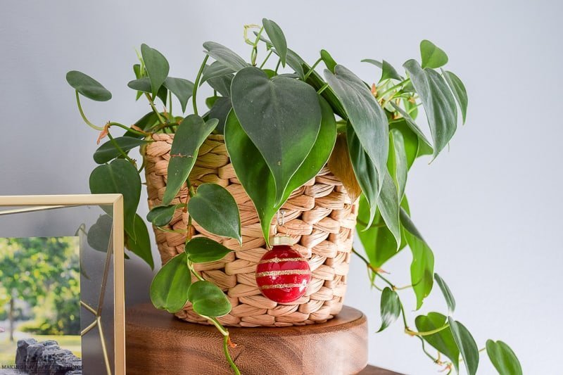 Add Christmas flair with some ornaments on plants in baskets to add Christmas cheer here and there.