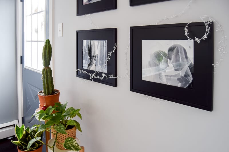 Black and white frames with photos of a family and couple against a back drop with greenery and plants
