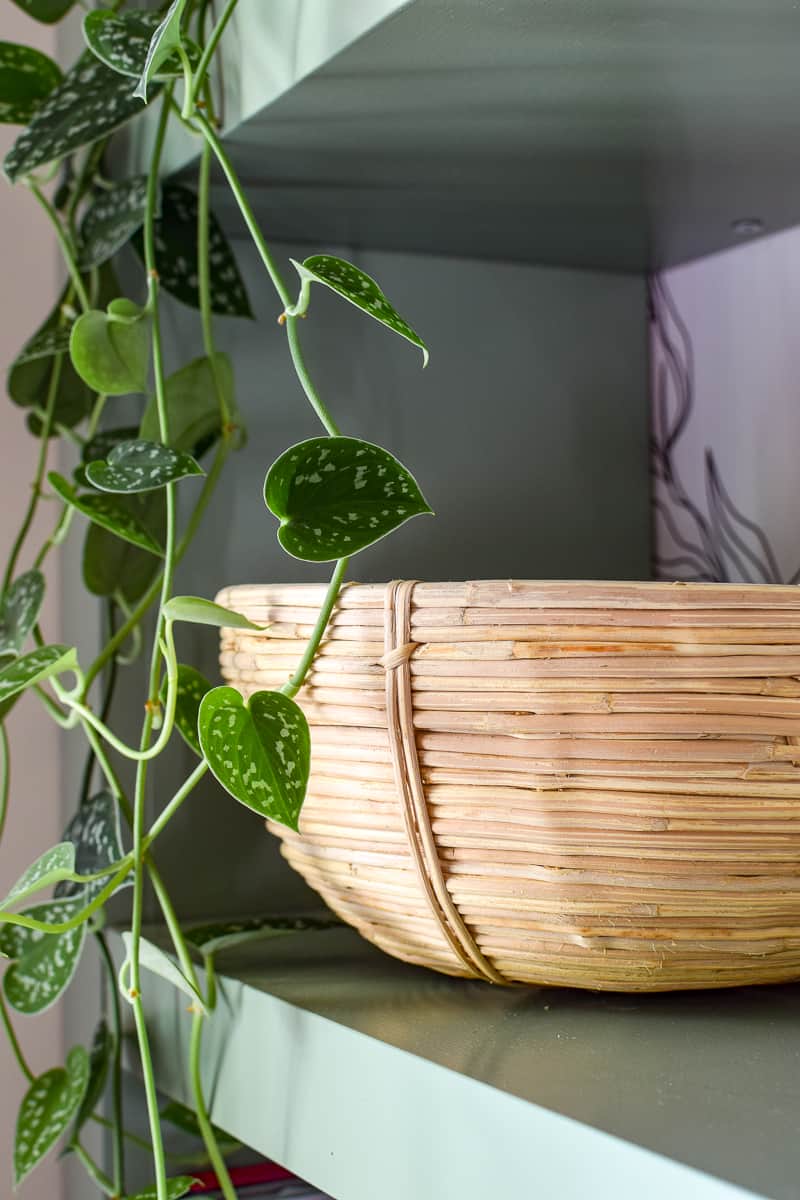 Hanging plants sized up next to baskets to ad variety to open IKEA shelving in a modern office room