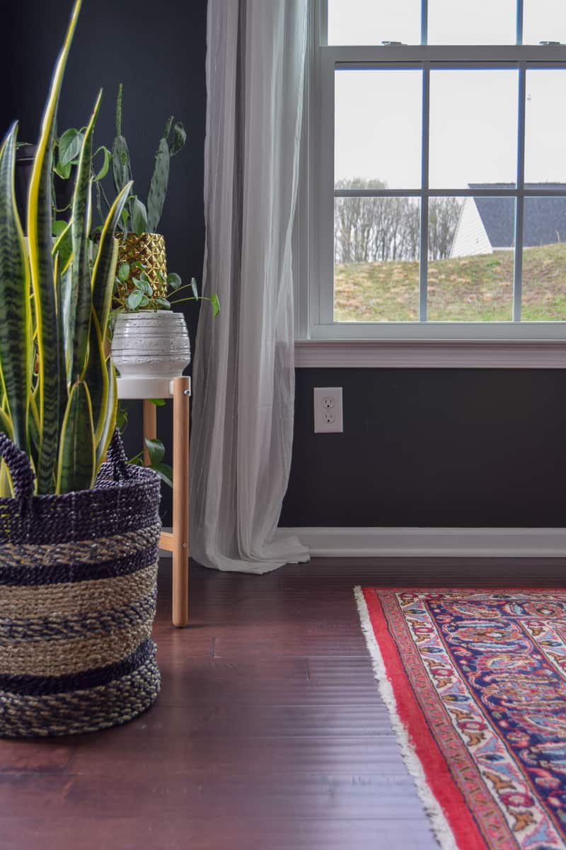 using a rug and plants and curtains to create a mid century modern dining room with ideas that look amazing