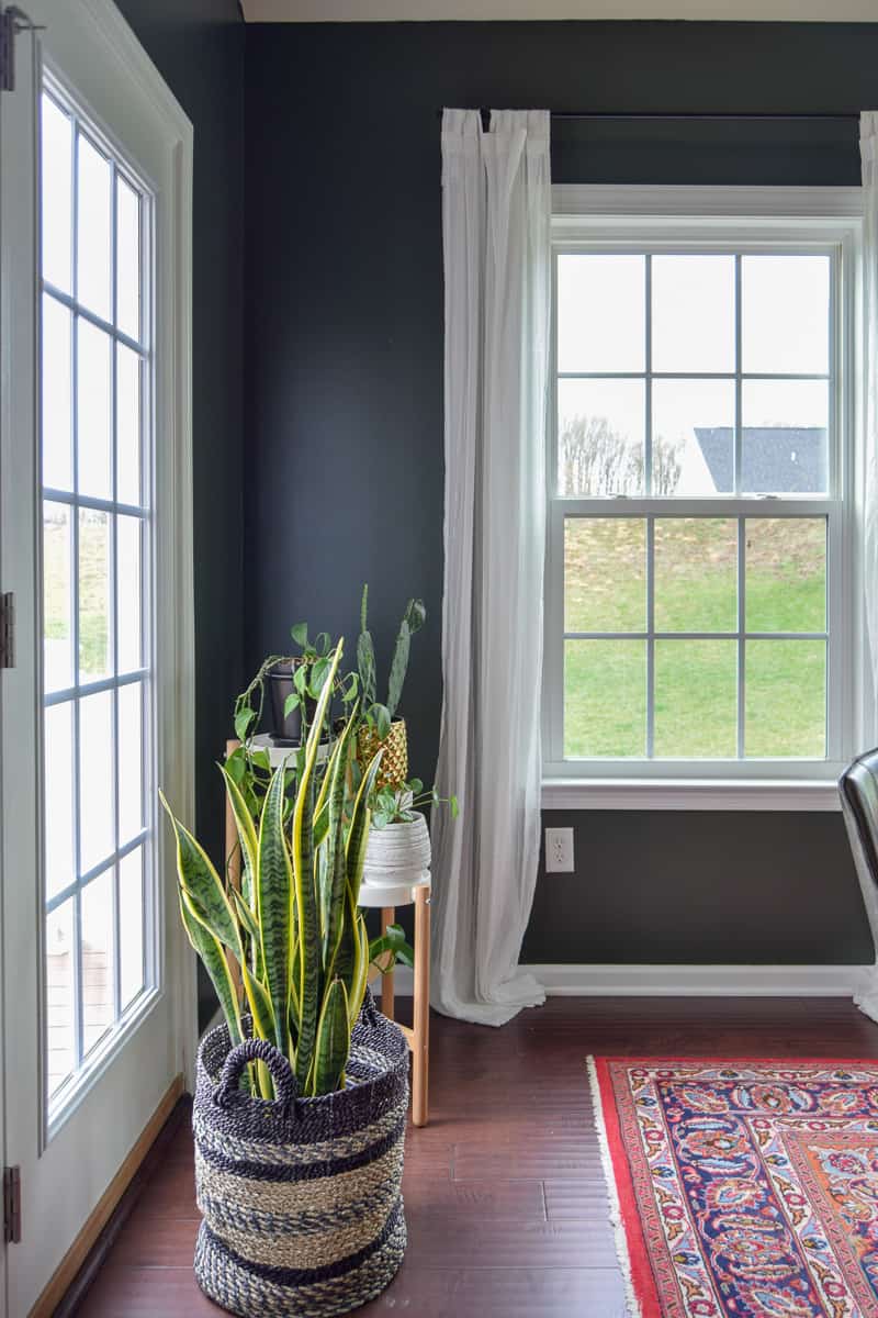 Plants are a great way to ad some variation in decor and putting the pot inside a basket really ties it in to the rest of the room